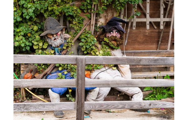 Gagnez un panier d'une valeur de CHF 50. - plein de délices régionaux des paniers fermiers de l'Oberaargau