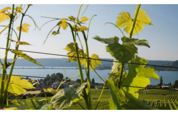 Gagnez des lots exceptionnels et découvrez Neuchâtel autrement !