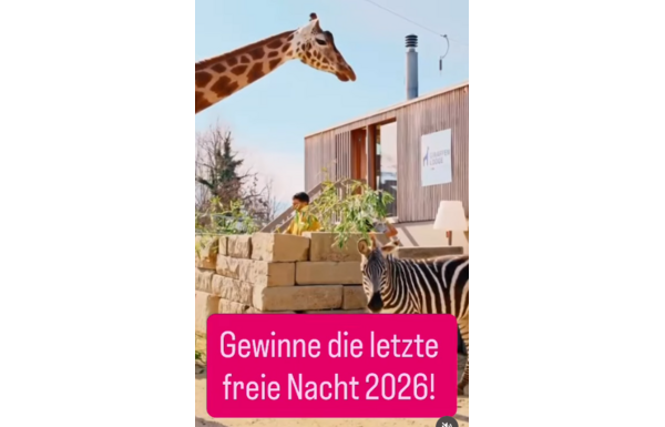 Gagnez la dernière nuitée de 2026 à notre girafe Lodge !