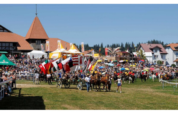 Gagnez vos 2 billets pour le Marché-Concours national de chevaux